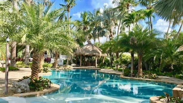 A pool area with lounge chairs and palm trees.