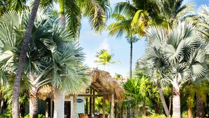 A tropical garden with palm trees, a thatched-roof structure, and a dining area with outdoor furniture.