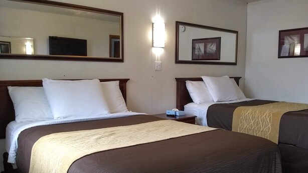 A hotel room with two beds, each with white linens and brown headboards. There is a nightstand with a lamp and a tissue box. - Green Valley Motel (Williamstown)