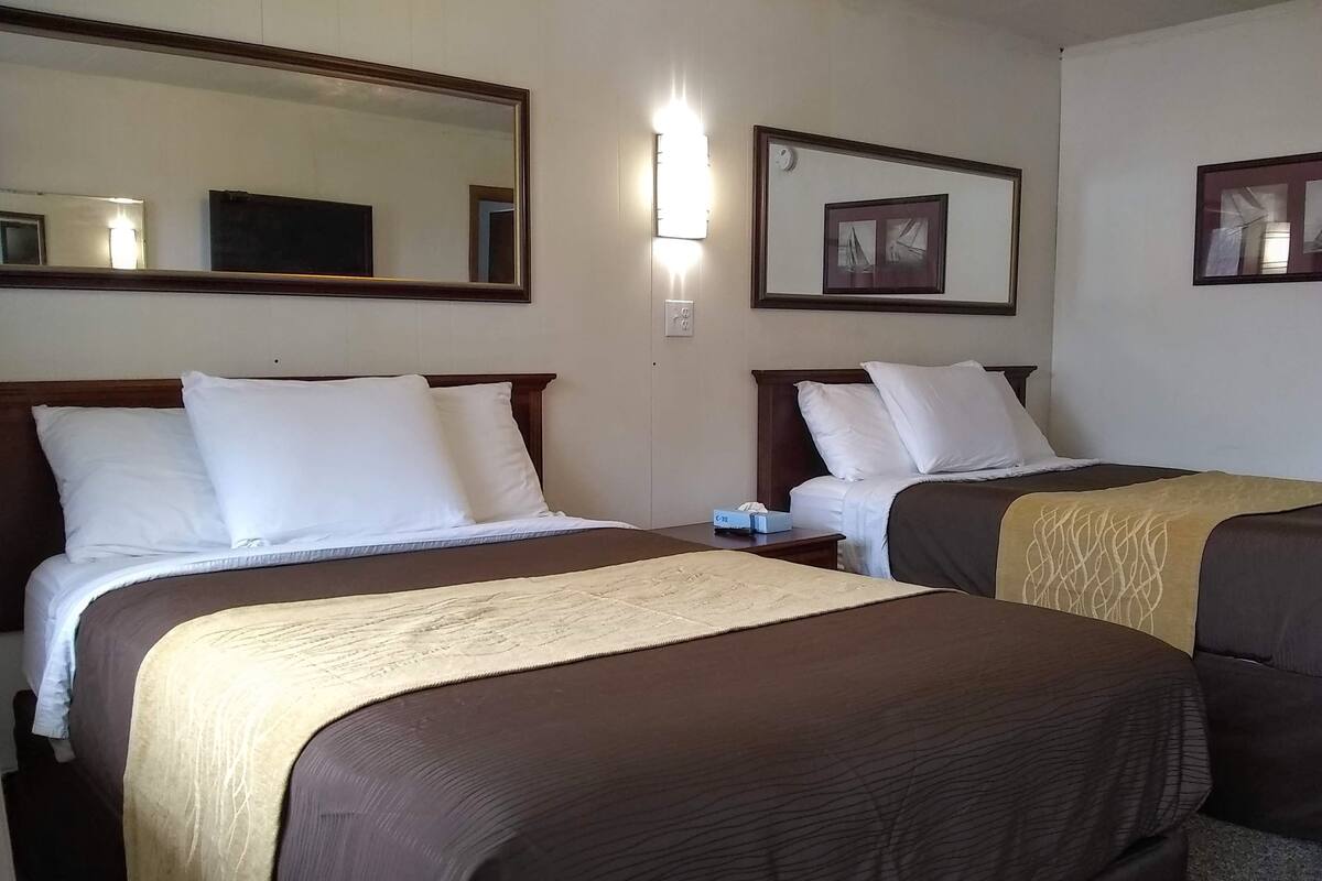 Quarto de hotel com duas camas, cada uma com lençóis brancos e cabeceiras castanhas. Há uma mesinha de cabeceira com uma luminária e uma caixa de lenços.