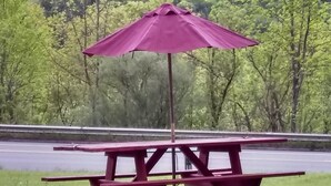 A picnic table with a red umbrella in a grassy area with a road and forested hill in the background. - Green Valley Motel (Williamstown)