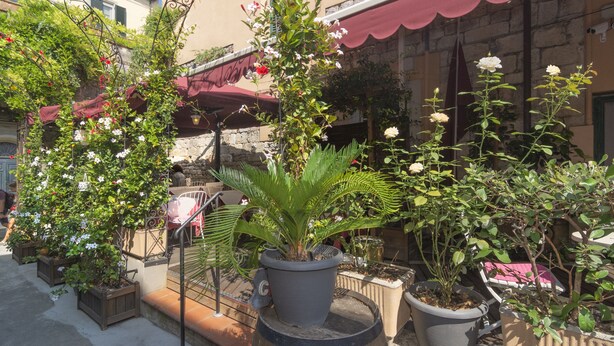 Un patio con plantas en macetas y un toldo rojo.