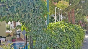 Exterior detail - Bade Hotel (Kemer)