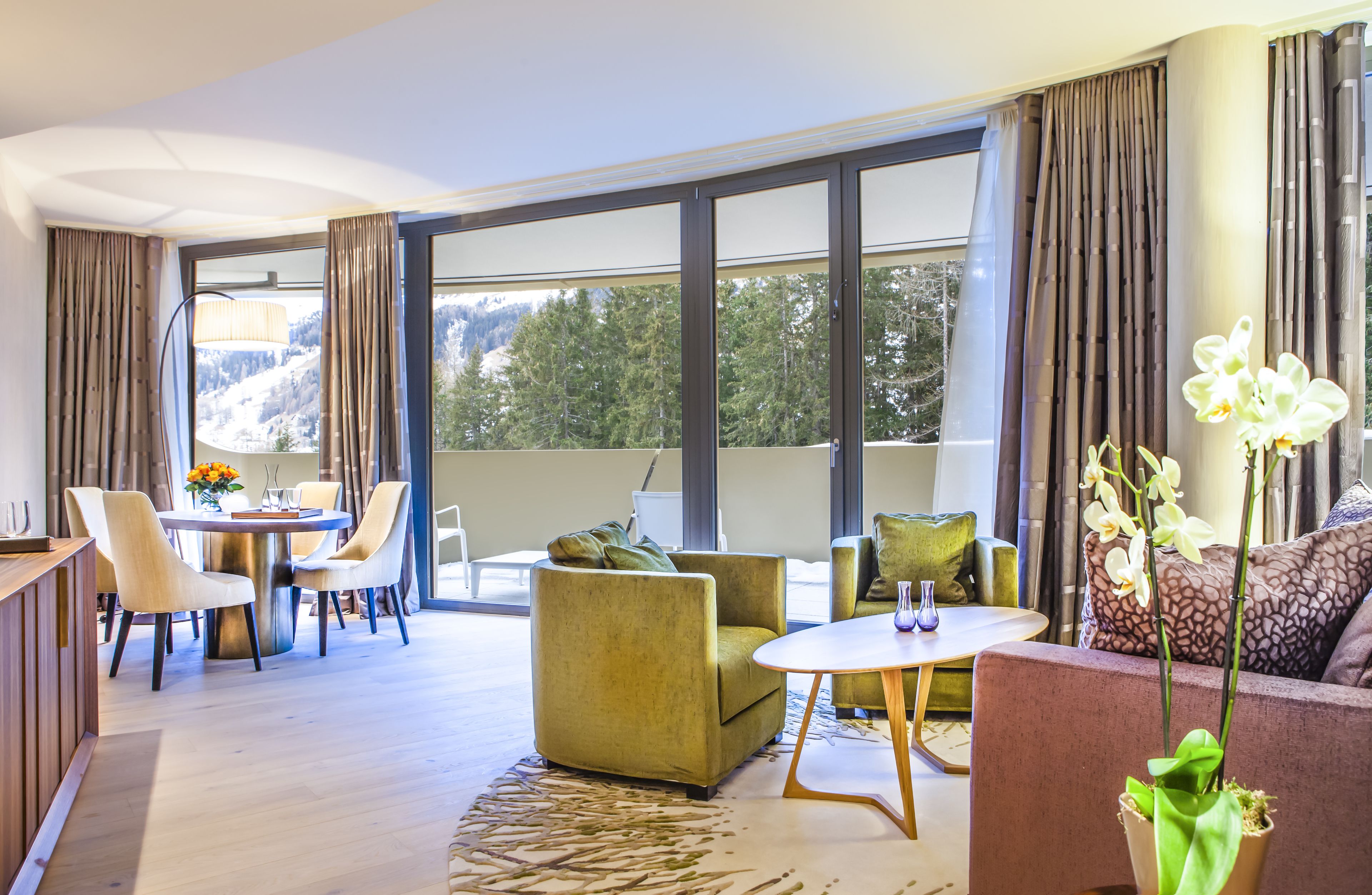 suite (alpine) | living area | tv, pay films