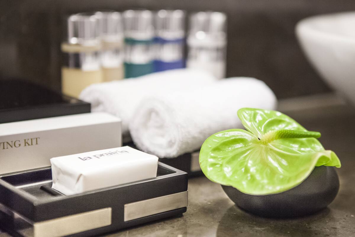 A bathroom counter with a white bar of soap, a rolled towel, and a small potted plant.