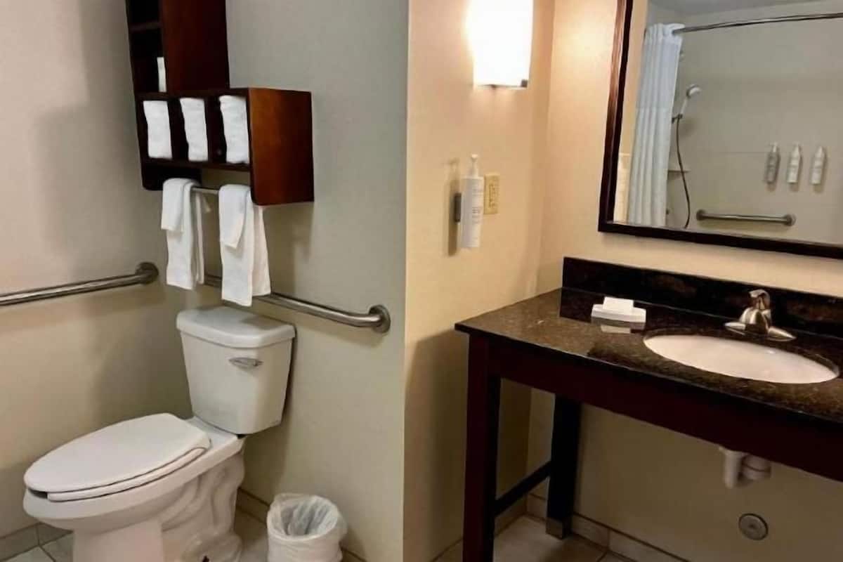 Bañera con ducha, secador de pelo, toallas, jabón