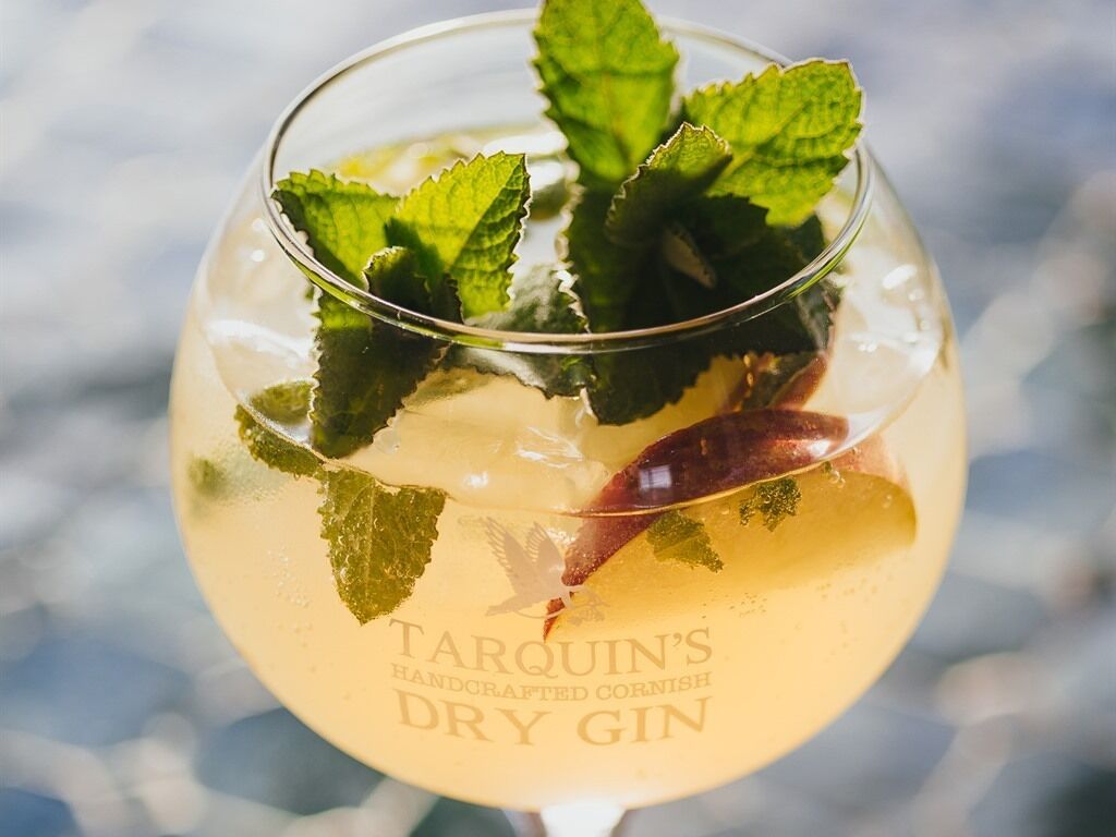 A glass of Tarquin's Handcrafted Cornish Dry Gin with mint leaves.