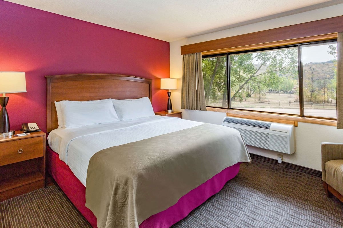 Premium bedding, desk, iron/ironing board, rollaway beds