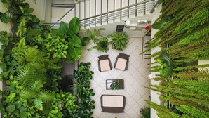 An indoor space with a staircase, seating area, and various plants. - Casa Fanning Apart Hotel (Lima)