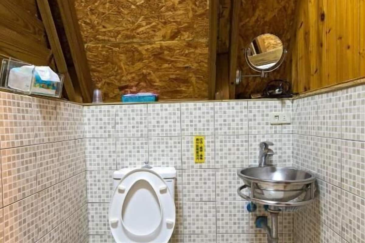 combined shower/bathtub, free toiletries, hair dryer