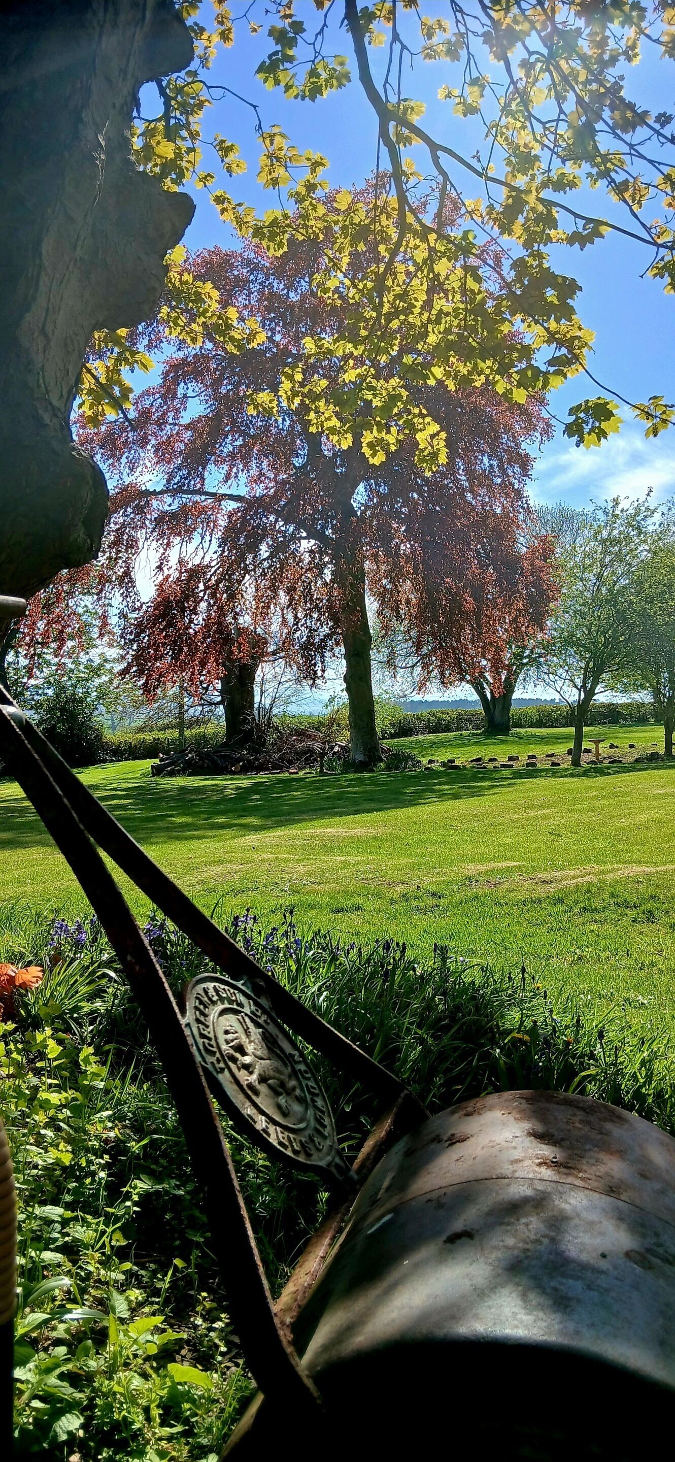 A park with a large tree, a metal sculpture, and a grassy area.