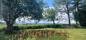 A lush garden with tall trees and a field of red flowers.