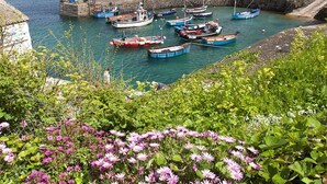 En havn med både fortøjet ved en stenmole, omgivet af grønt og blomster.