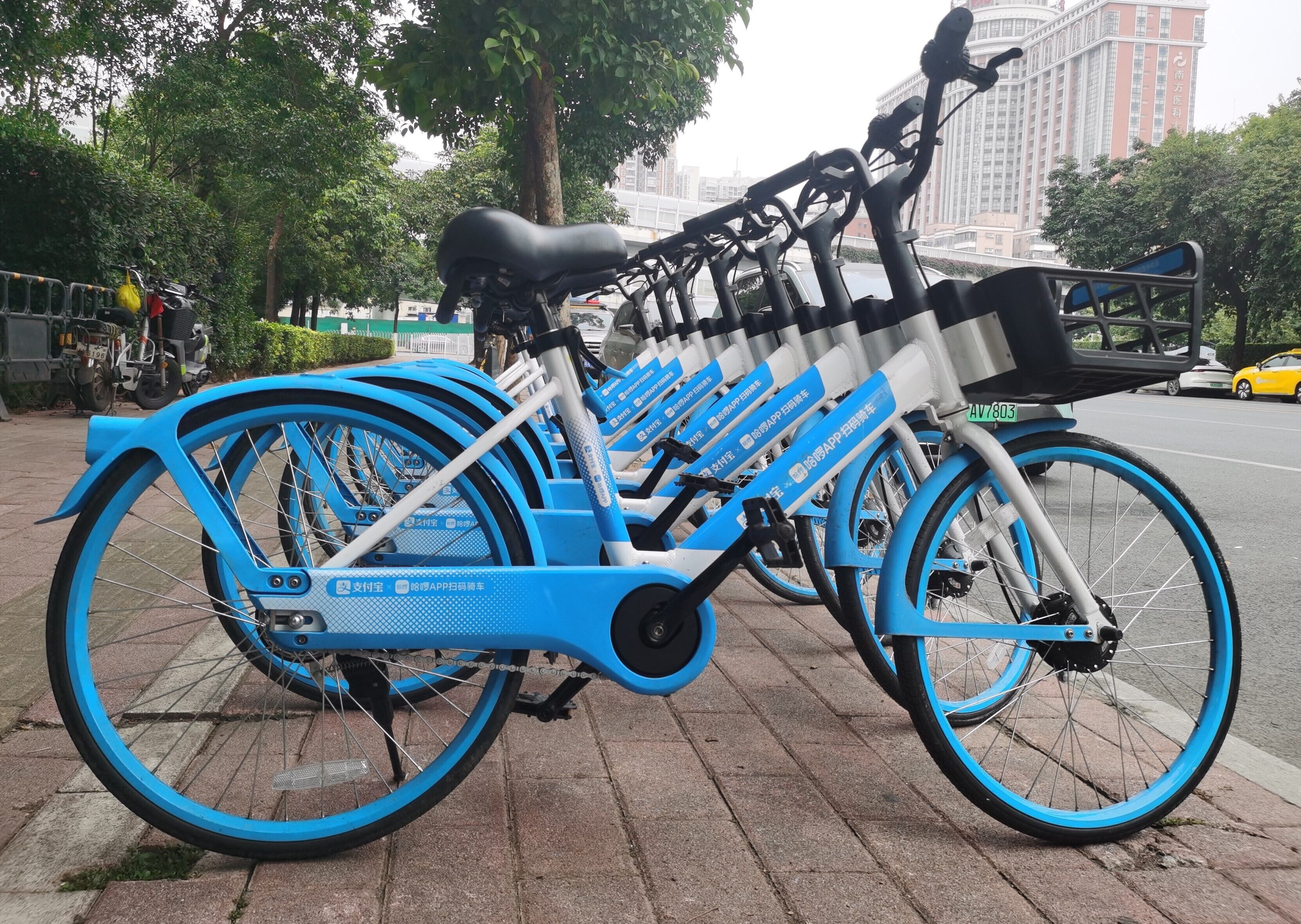 A row of blue electric bicycles parked on a sidewalk.