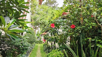Taman