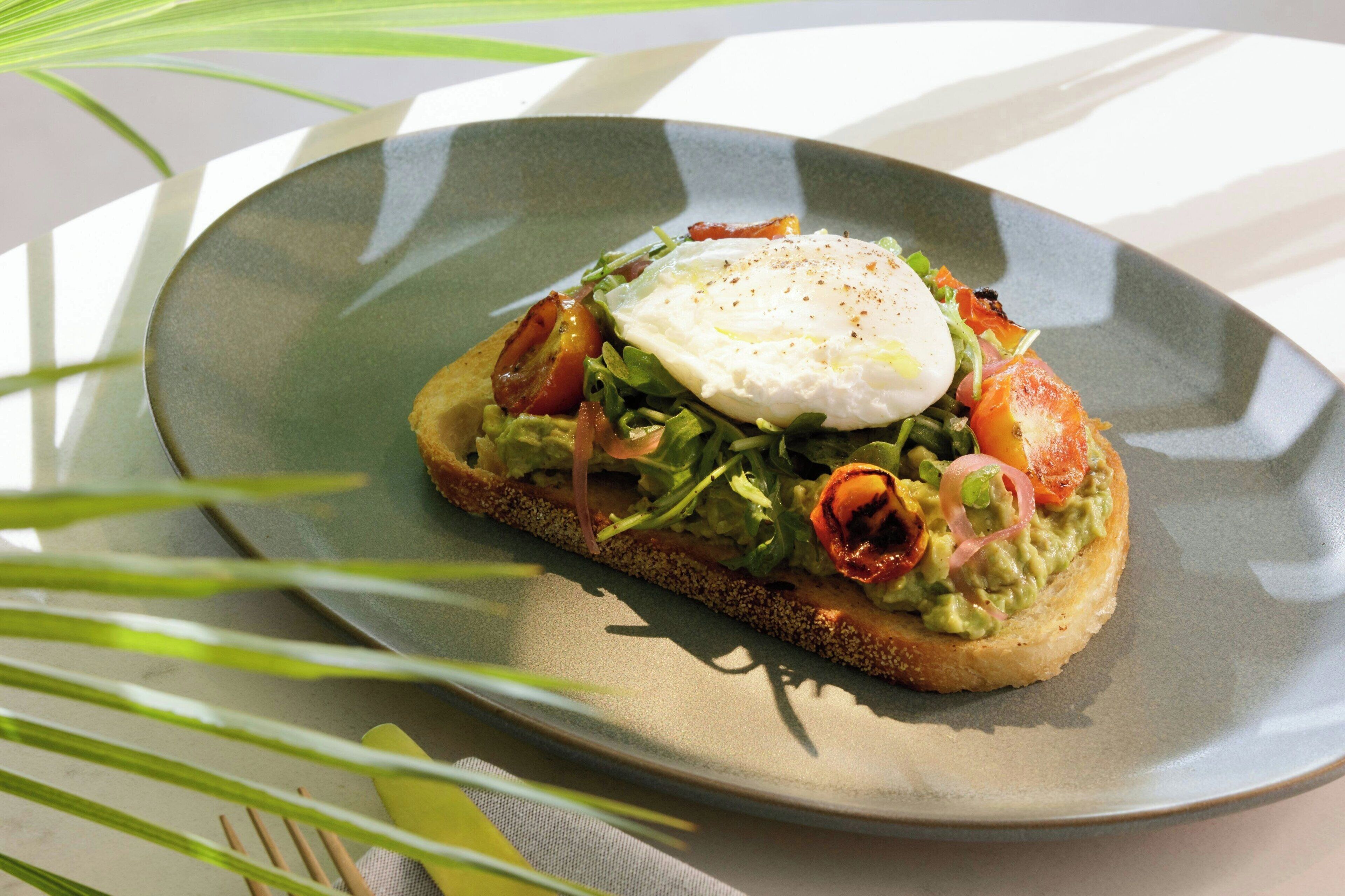 Ein Teller mit einem Sandwich, belegt mit Avocado, Tomate und einem pochierten Ei auf einer Brotscheibe.