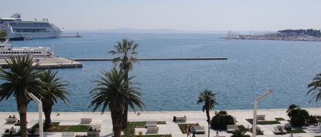 A waterfront promenade with palm trees, benches, and a cruise ship docked in the background.