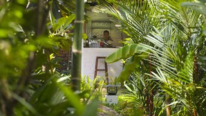 Property grounds - Kiri Boutique Hotel (Siem Reap)