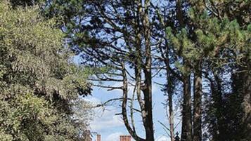 A historic building with a brick exterior, surrounded by mature trees and a well-maintained lawn.