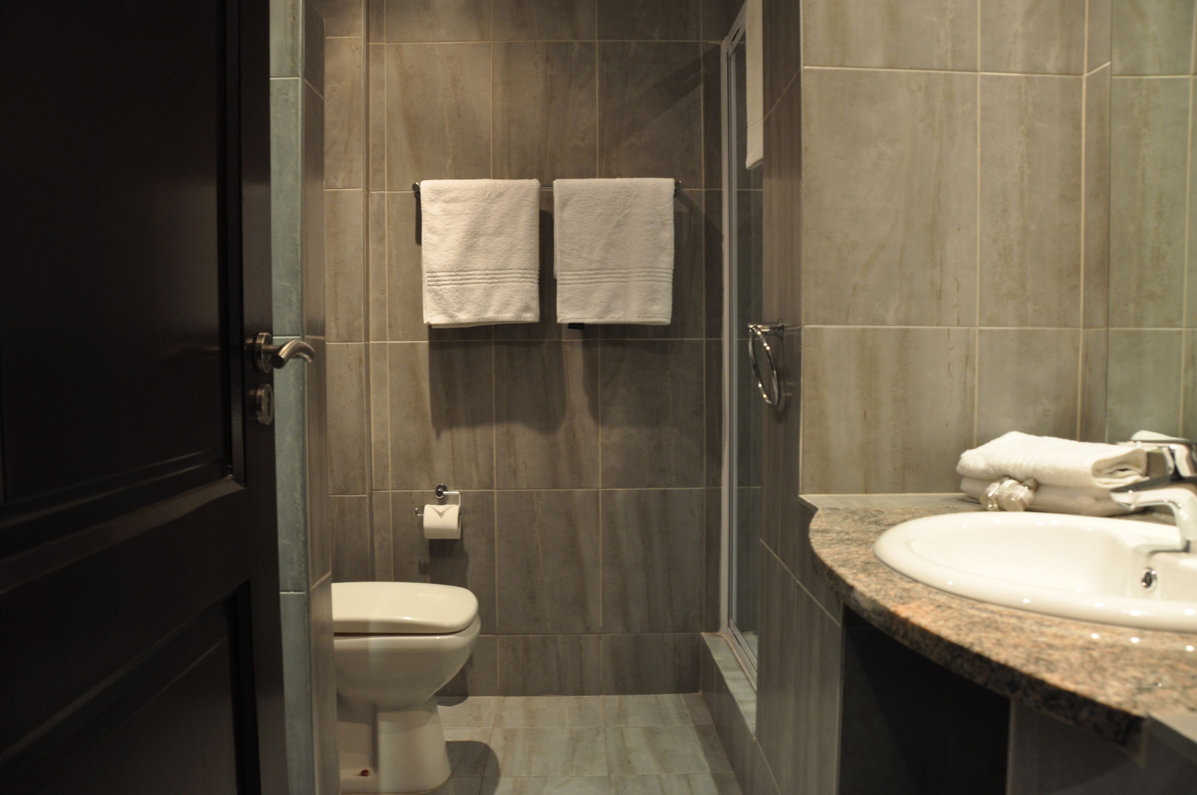 executive suite | bathroom | hydromassage showerhead, designer toiletries, hair dryer, towels