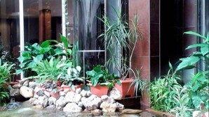 A modern building with a glass elevator, a small water feature with rocks and plants, and a variety of potted plants around the area. - Hotel Royal (Kinshasa)
