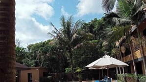 Un espace piscine agrémenté de chaises longues et de parasols, entouré de palmiers et surplombé d’un ciel dégagé.