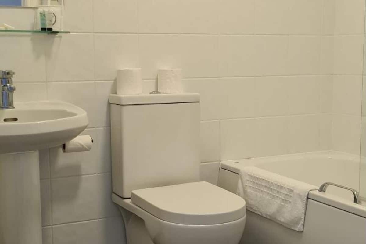 combined shower/bathtub, hair dryer, towels