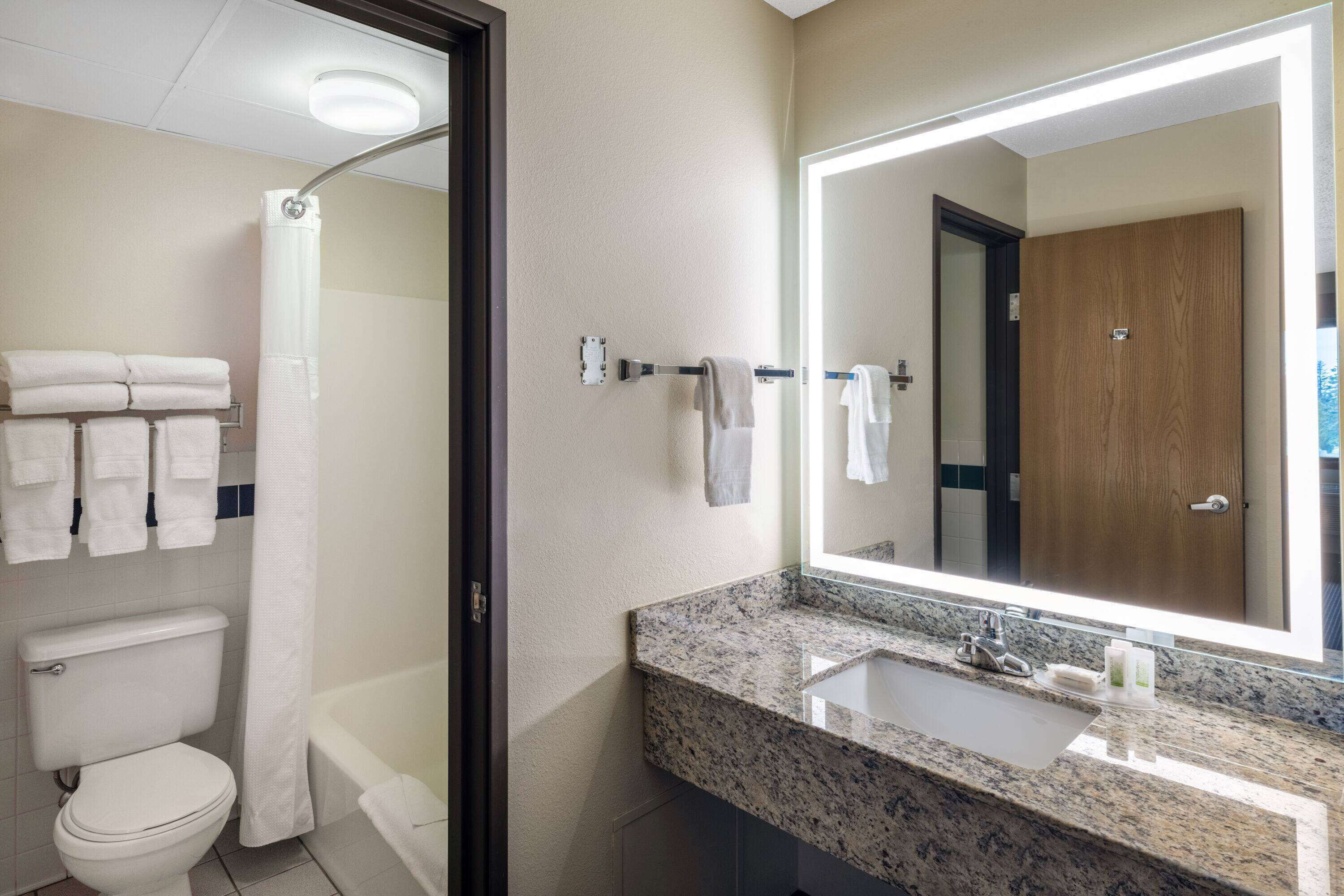 combined shower/bathtub, free toiletries, hair dryer, towels