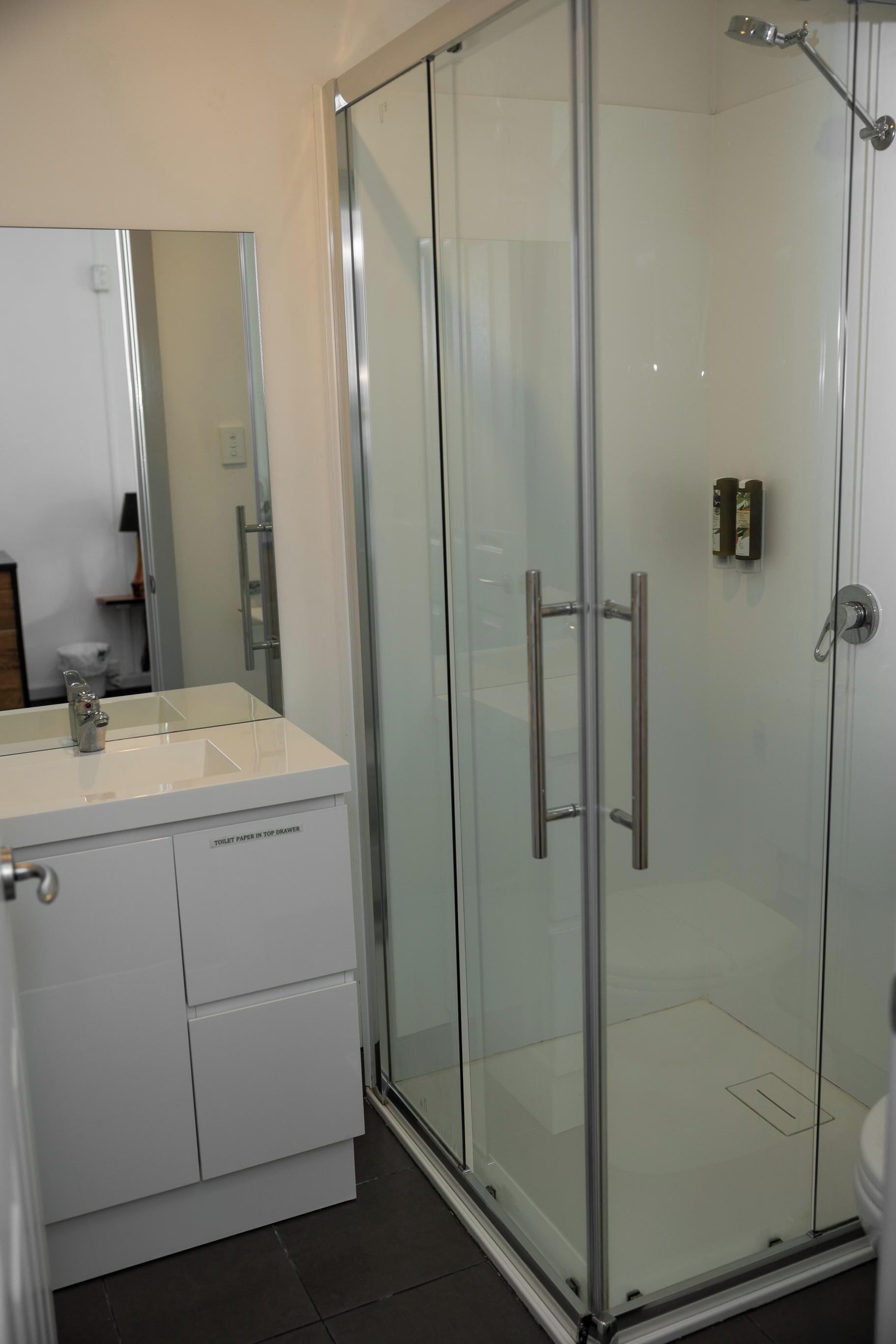 A modern bathroom with a glass shower enclosure, a white sink with a mirror, and a toilet paper dispenser.