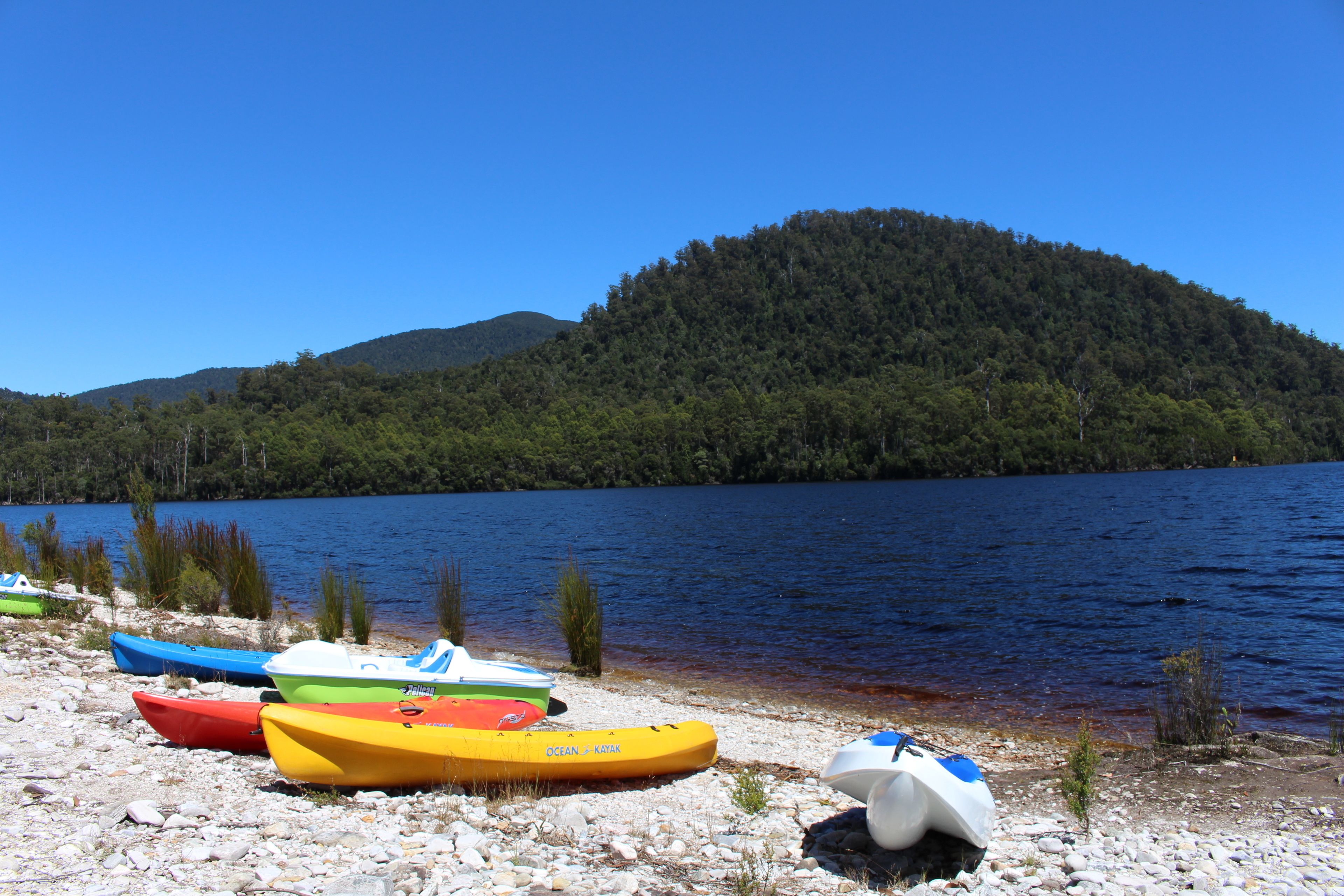 A row of colorful kayaks lined up on a rocky shore by a lake with a forested hill in the background.