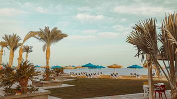 On the beach, beach bar, fishing