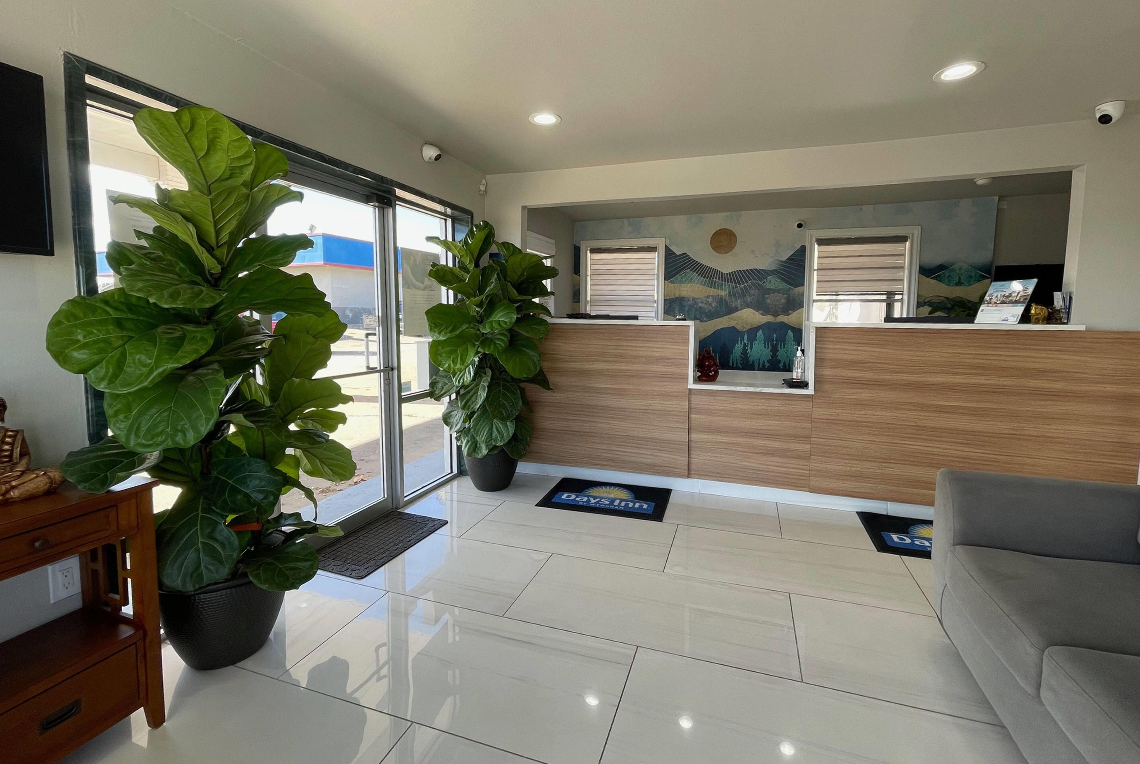 A reception area with a reception desk, two large potted plants, a sofa, and a wall-mounted artwork.