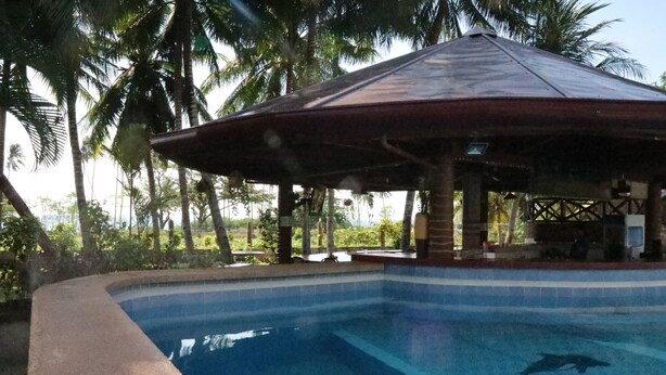 A swimming pool with a wooden pavilion, surrounded by palm trees. - Aqua-Landia Resort (Dauin)