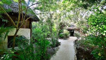 Jardín