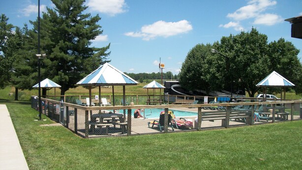 A fenced pool area with lounge chairs and umbrellas. - Budget Host Westgate Inn (London)