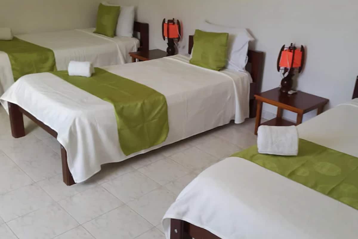Una habitación de hotel con dos camas individuales, cada una con una colcha verde y blanca, una mesita de noche de madera con una lámpara, y un tapete verde en el suelo.