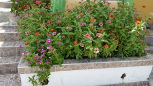 Un escalier en pierre agrémenté d’un jardinier où sont plantées différentes fleurs aux couleurs vives.