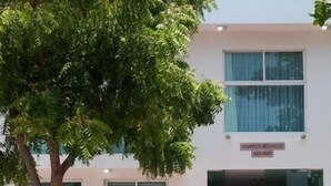 A modern building with a large tree in front, a sign above the entrance, and a clear view of the entrance area.