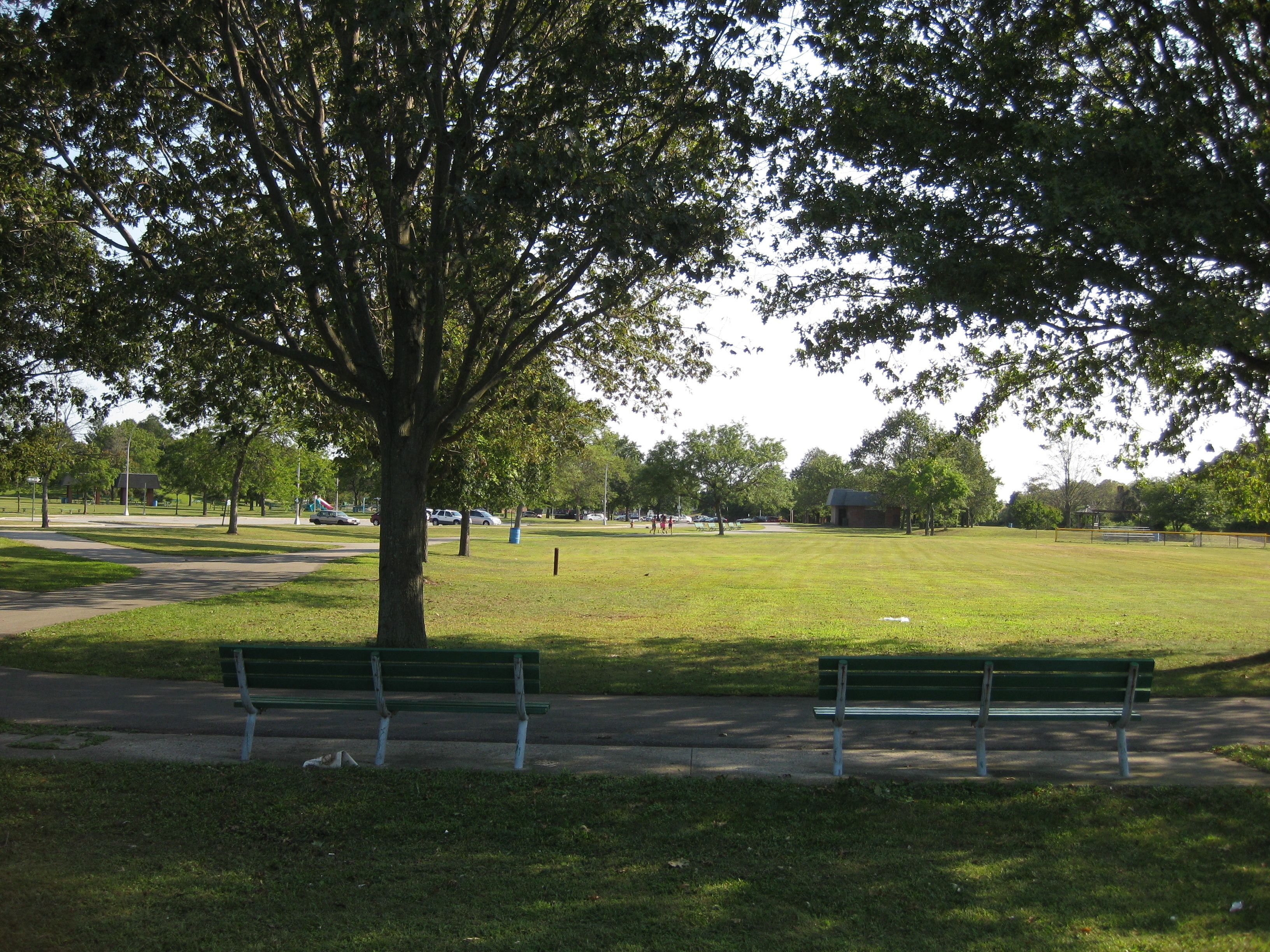 A park with a large tree, a grassy field, and a paved path.