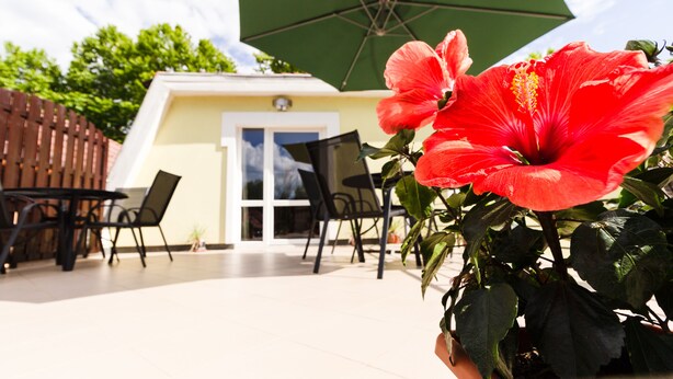 A patio area with a green umbrella, a yellow building, and a hibiscus flower in the foreground. - Bella Villa Siofok (Siófok)