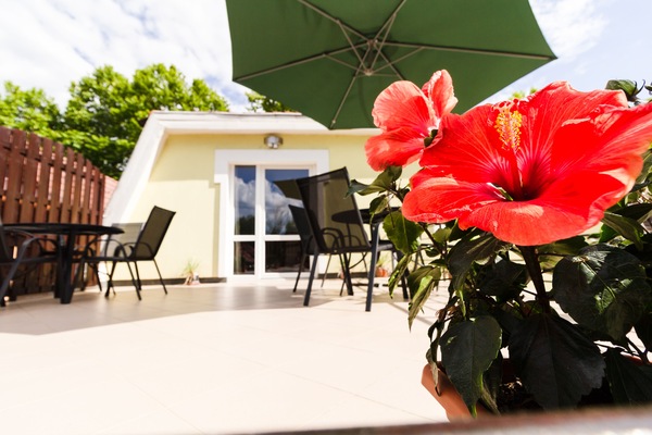 Apartment, 2 Bedrooms | Terrace/patio
