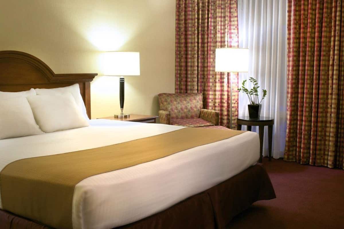 A hotel room with a large bed, two bedside lamps, a floral armchair, a small table with a potted plant, and curtains.