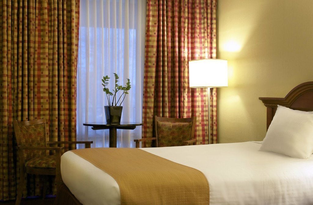 Habitación de hotel con una cama, dos sillas, una mesita con una planta y una lámpara.