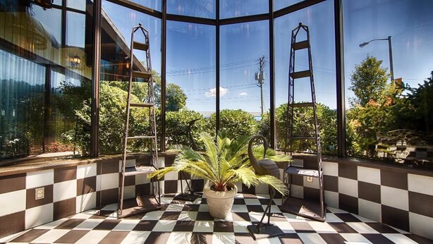A checkered floor, a potted plant, and two metal ladders in a room with large windows.
