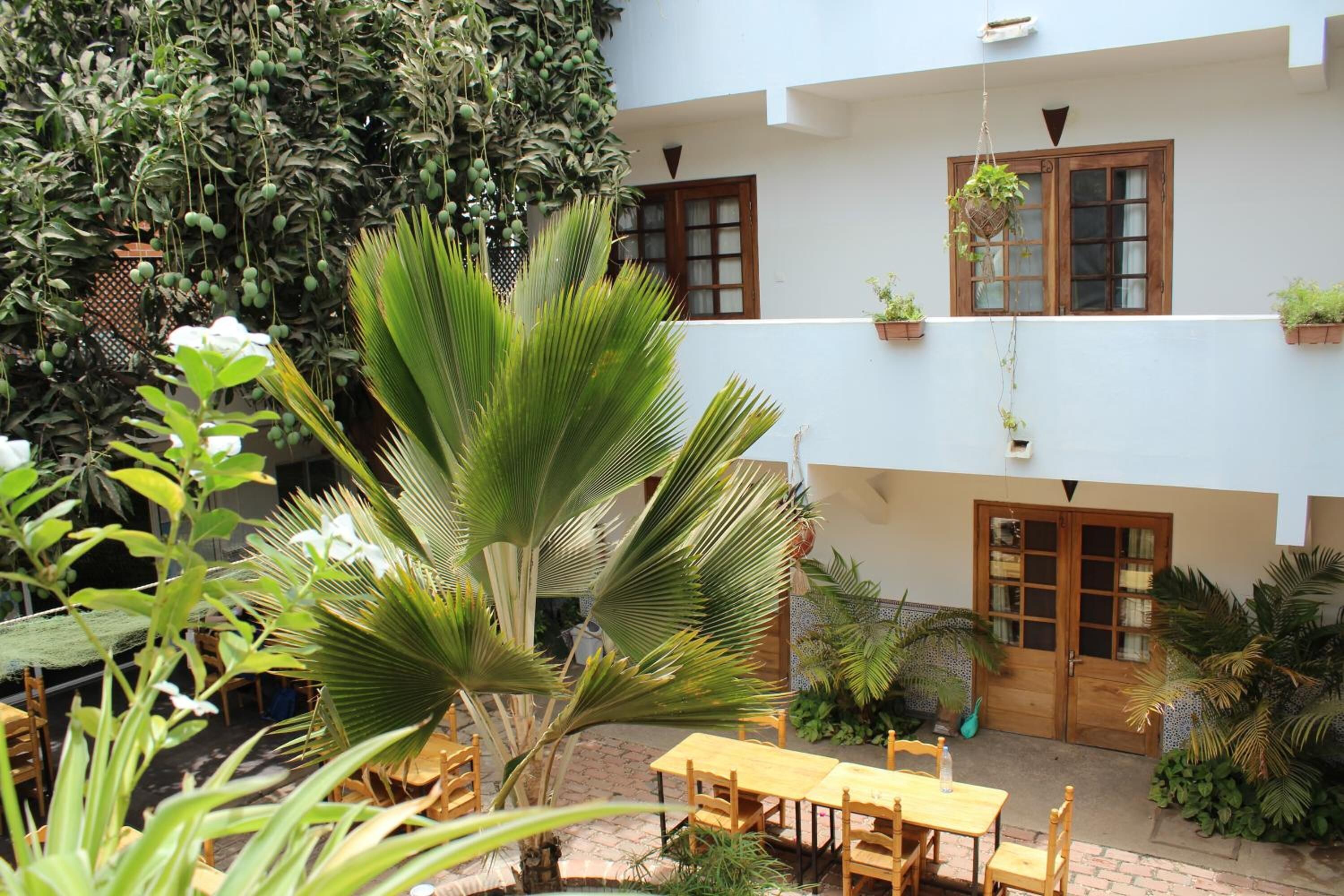 A courtyard with a wooden table and chairs, surrounded by lush greenery and potted plants.