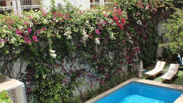Una piscina con borde de azulejos, rodeada de sillas de descanso y una pared cubierta de plantas en flor.