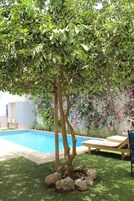 室外泳池；躺椅