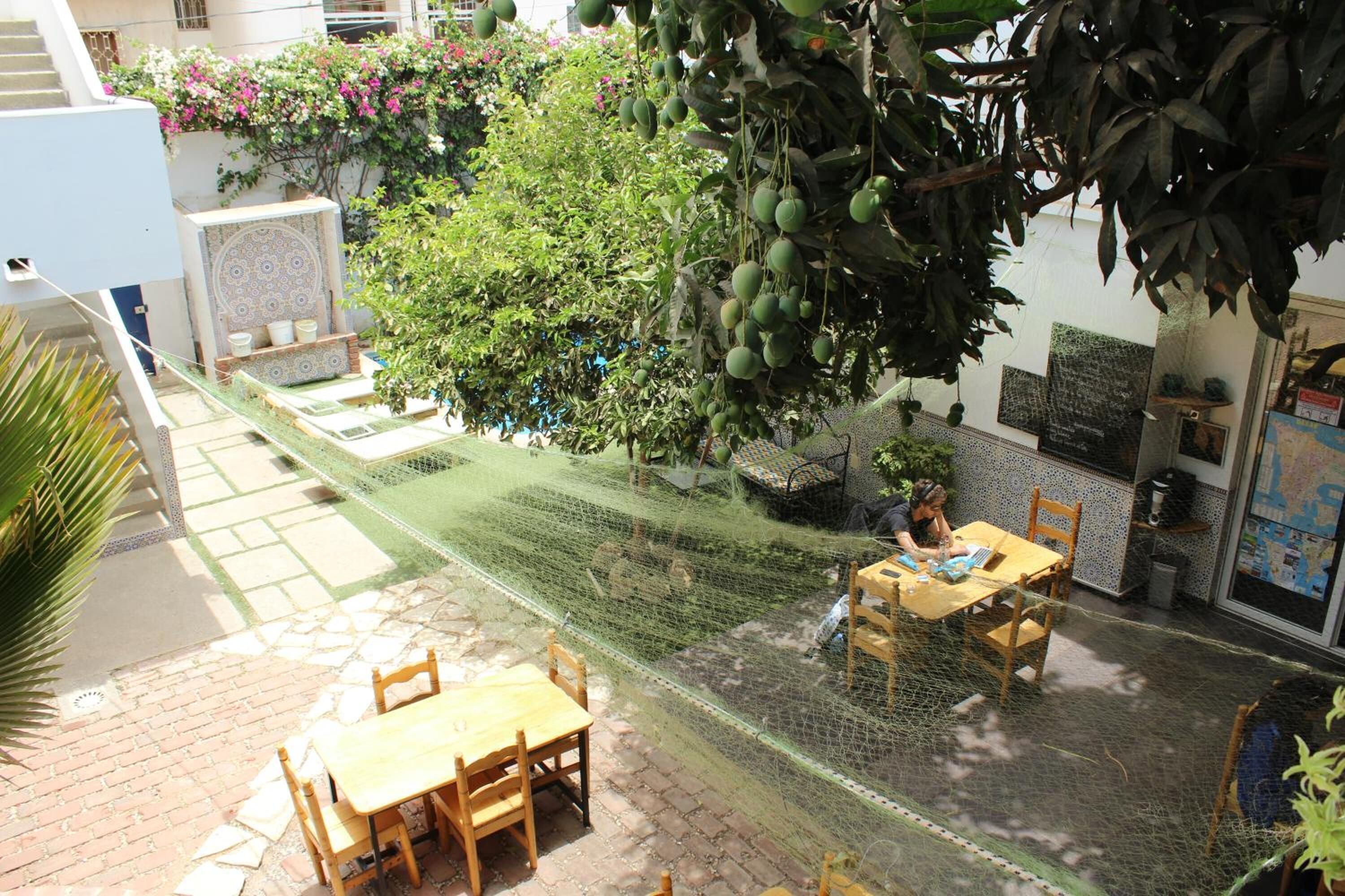 An outdoor seating area with a table and chairs, surrounded by a netted enclosure, and a tree with hanging fruits.