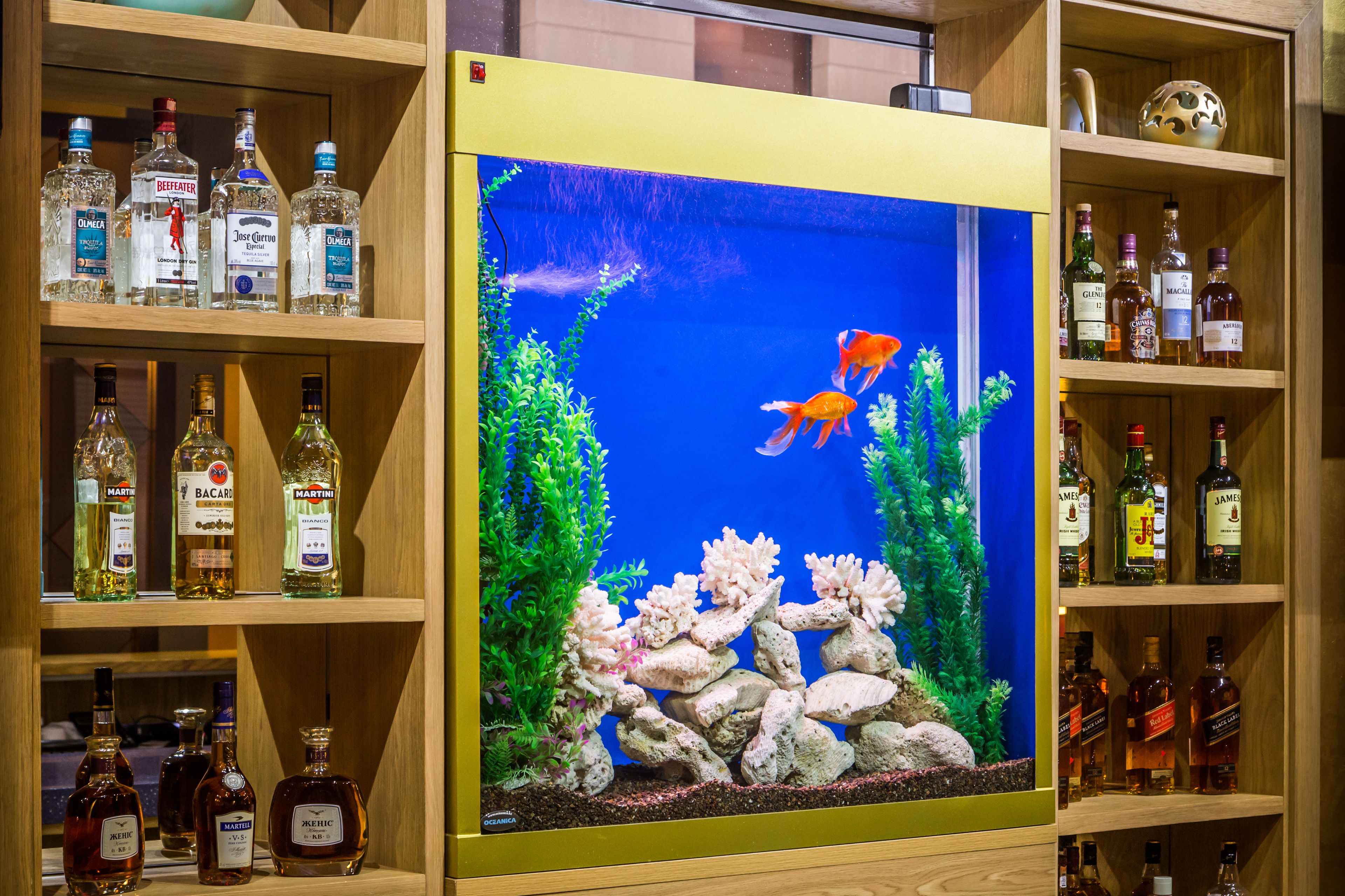 A display of liquor bottles on shelves with an aquarium in the center.