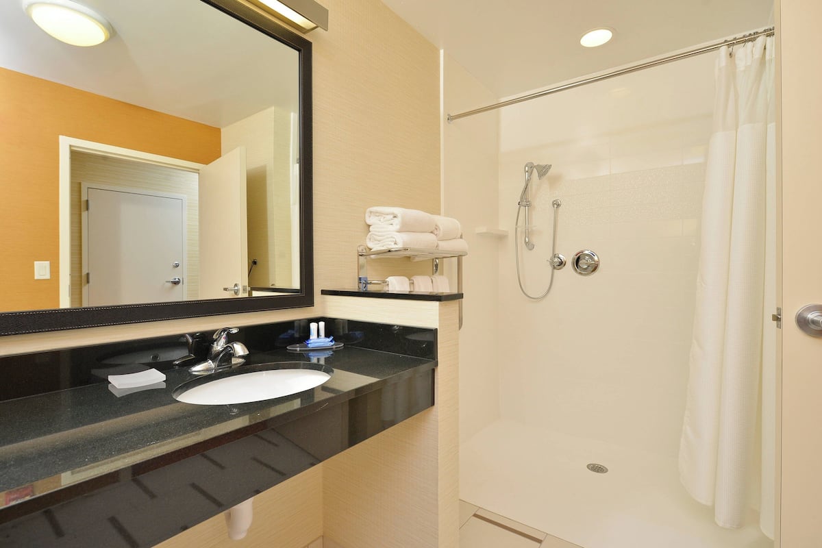 hair dryer, towels, soap, shampoo